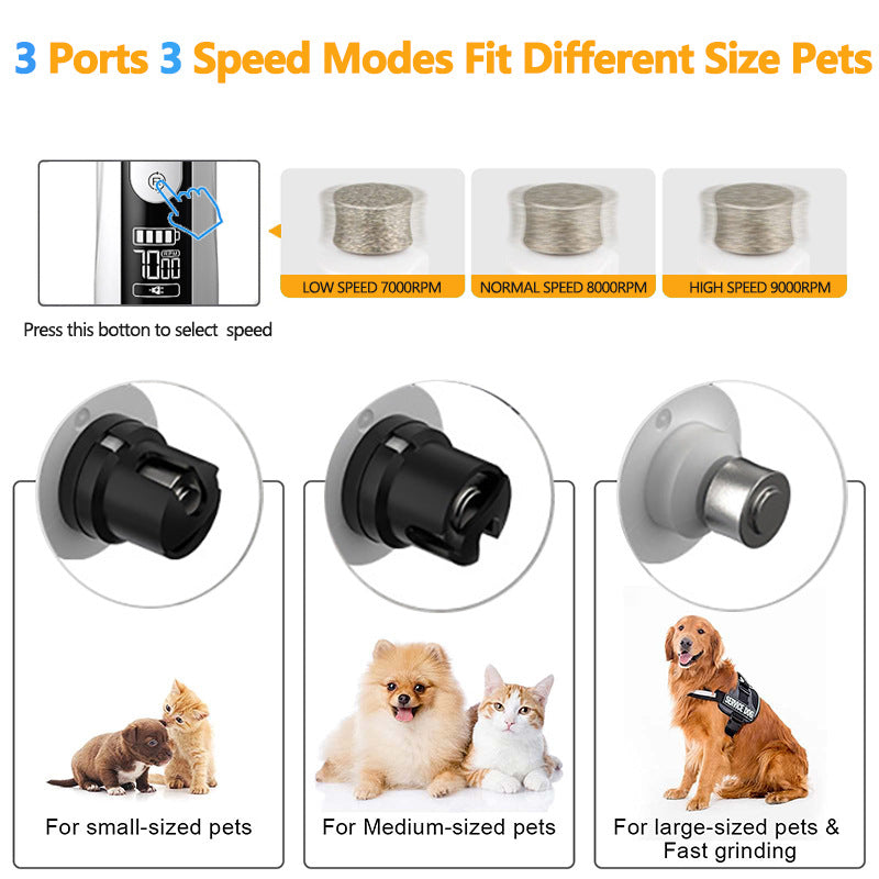 HavenPaws™