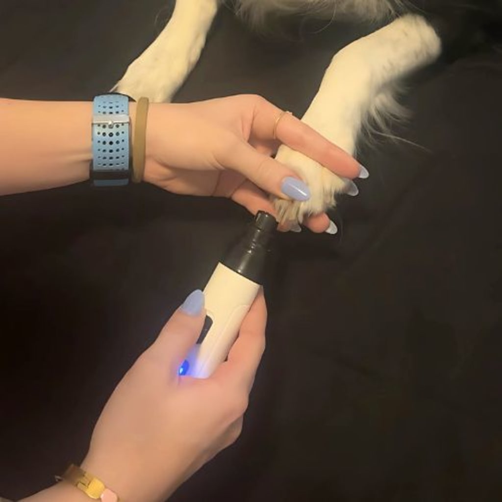 HavenPaws - copy